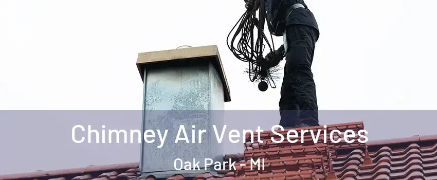  Chimney Air Vent Services Oak Park - MI