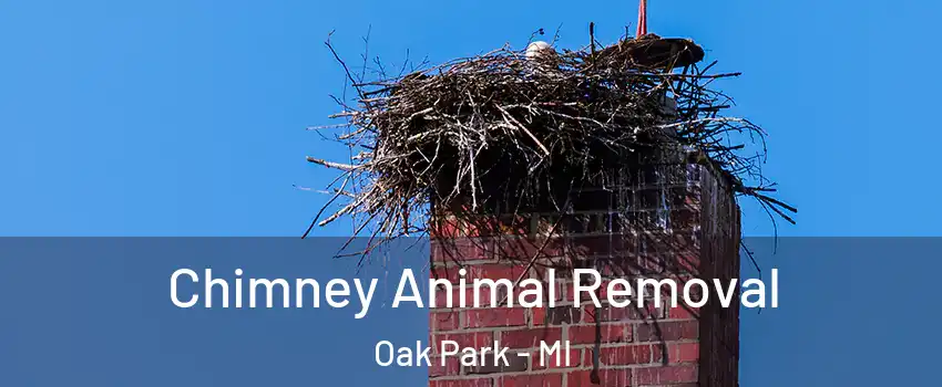 Chimney Animal Removal Oak Park - MI