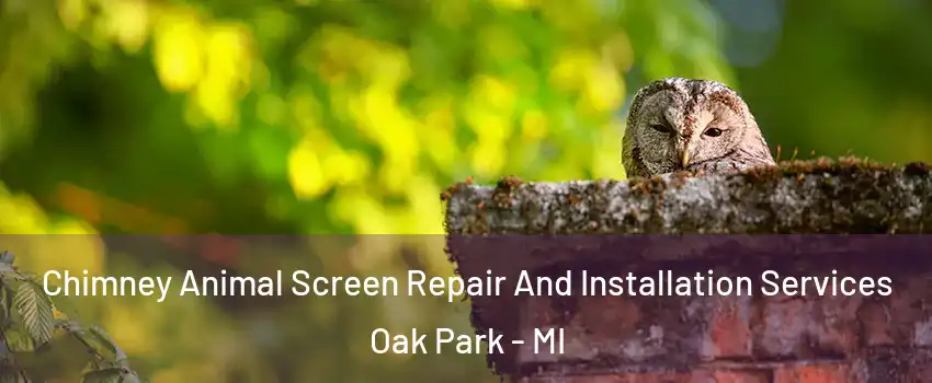  Chimney Animal Screen Repair And Installation Services Oak Park - MI