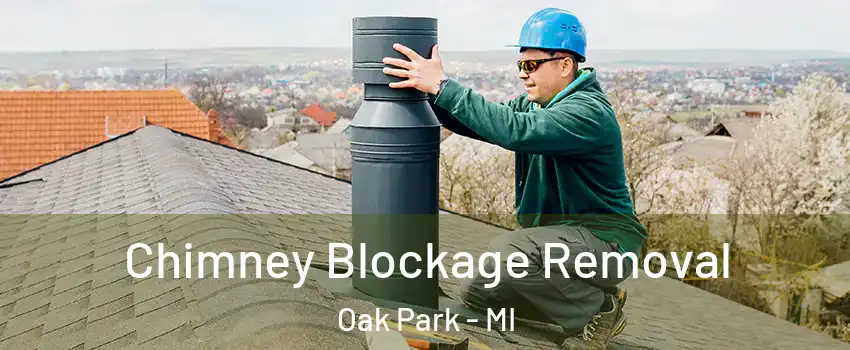 Chimney Blockage Removal Oak Park - MI