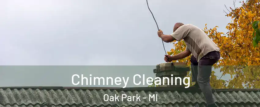  Chimney Cleaning Oak Park - MI