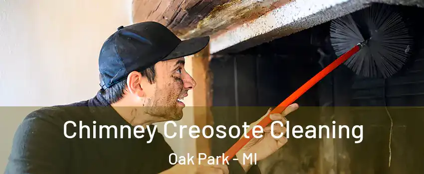  Chimney Creosote Cleaning Oak Park - MI