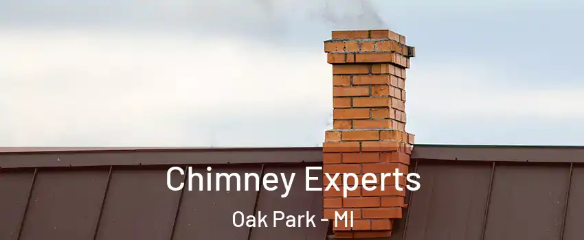 Chimney Experts Oak Park - MI