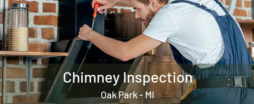  Chimney Inspection Oak Park - MI