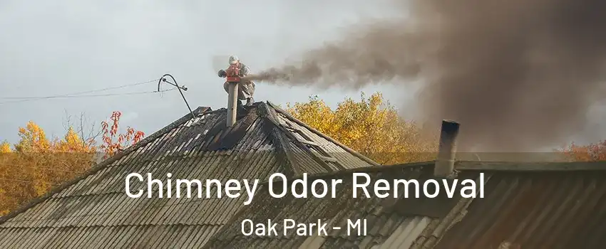  Chimney Odor Removal Oak Park - MI