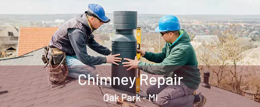  Chimney Repair Oak Park - MI