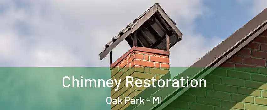  Chimney Restoration Oak Park - MI