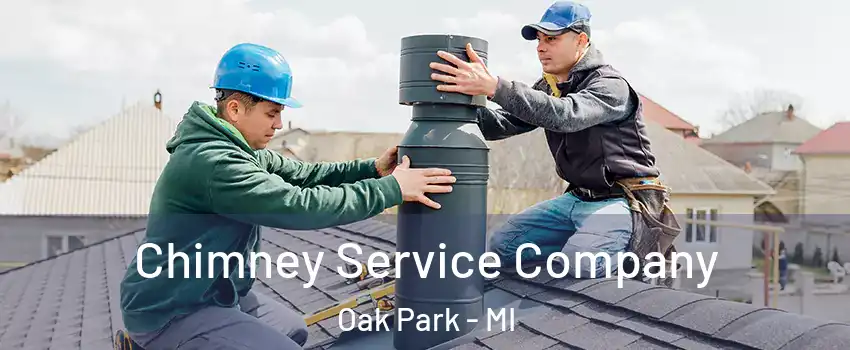 Chimney Service Company Oak Park - MI