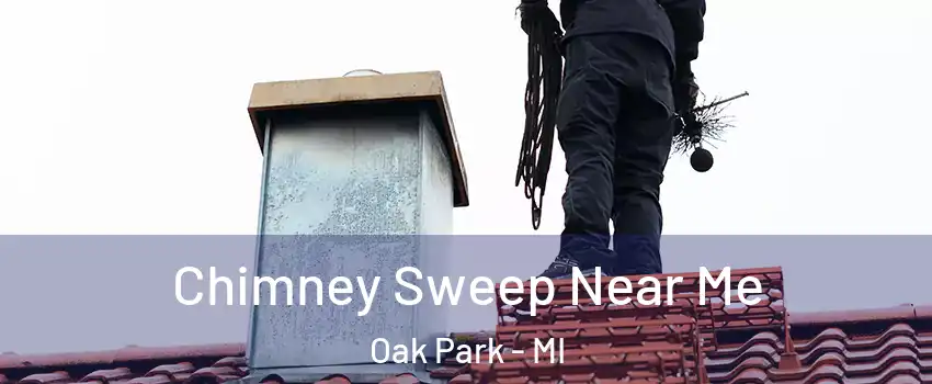 Chimney Sweep Near Me Oak Park - MI