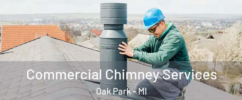 Commercial Chimney Services Oak Park - MI