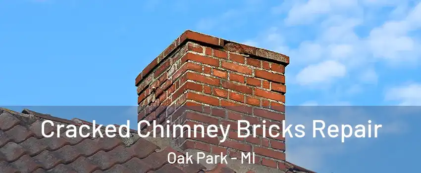  Cracked Chimney Bricks Repair Oak Park - MI