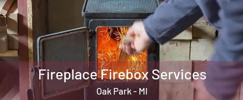  Fireplace Firebox Services Oak Park - MI