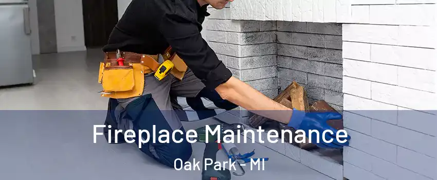  Fireplace Maintenance Oak Park - MI