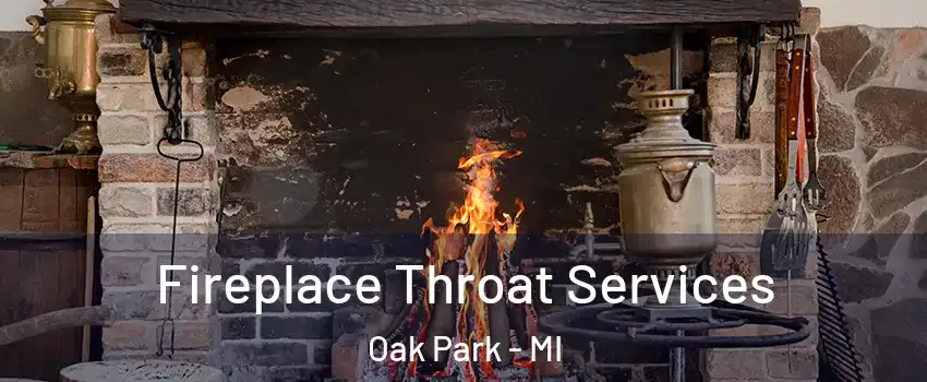  Fireplace Throat Services Oak Park - MI