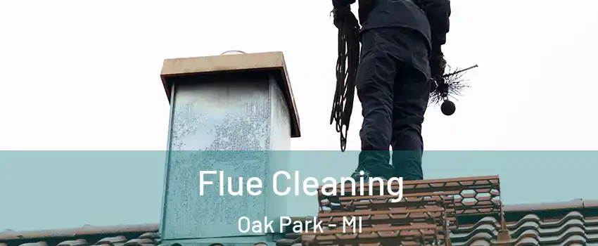  Flue Cleaning Oak Park - MI