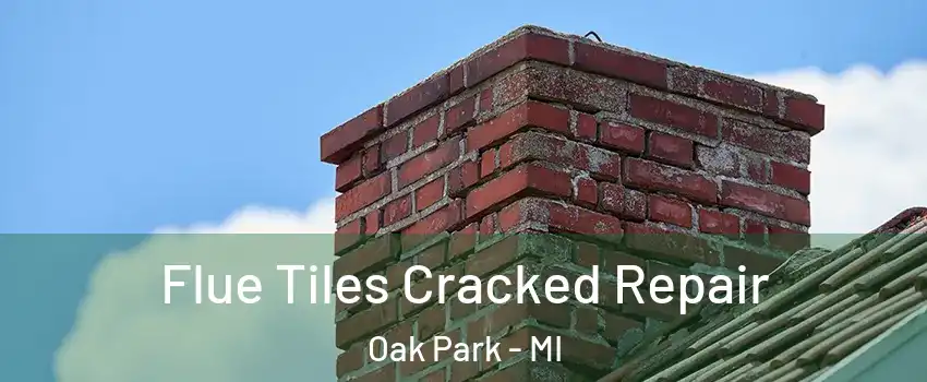  Flue Tiles Cracked Repair Oak Park - MI