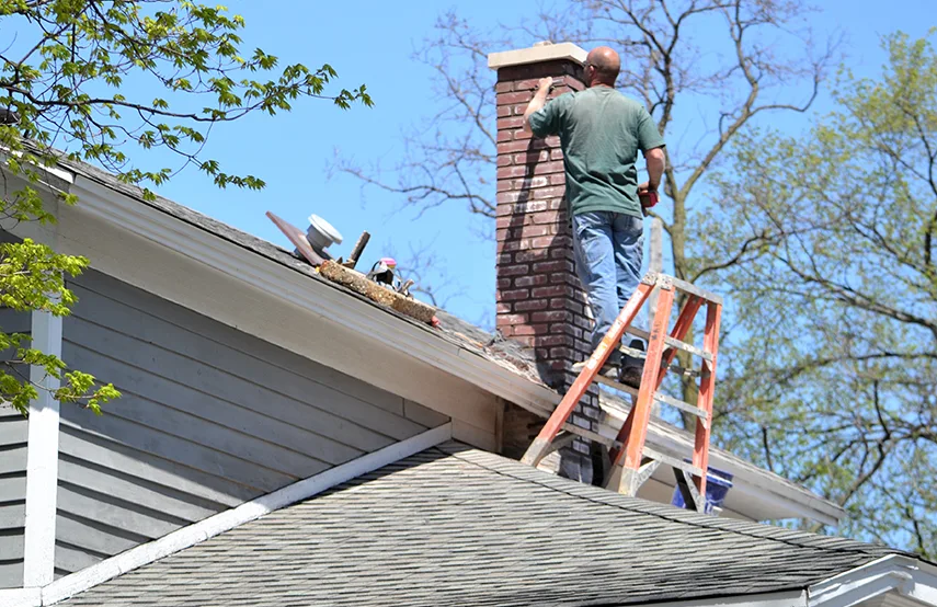 Chimney & Fireplace Inspections Services in Oak Park, MI