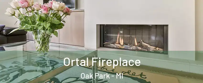 Ortal Fireplace Oak Park - MI