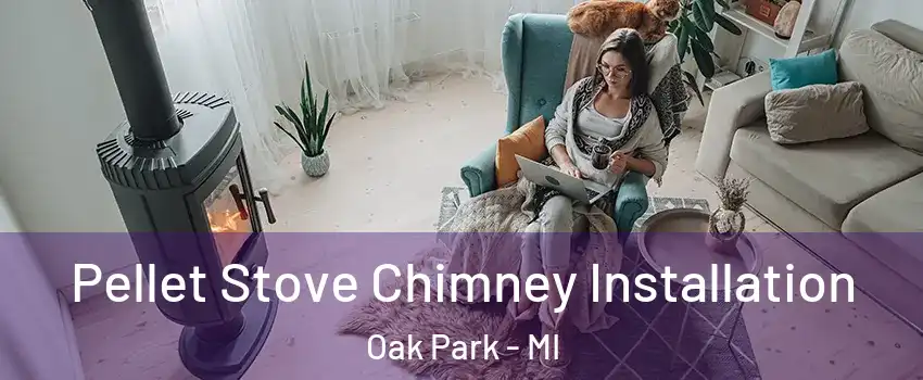  Pellet Stove Chimney Installation Oak Park - MI