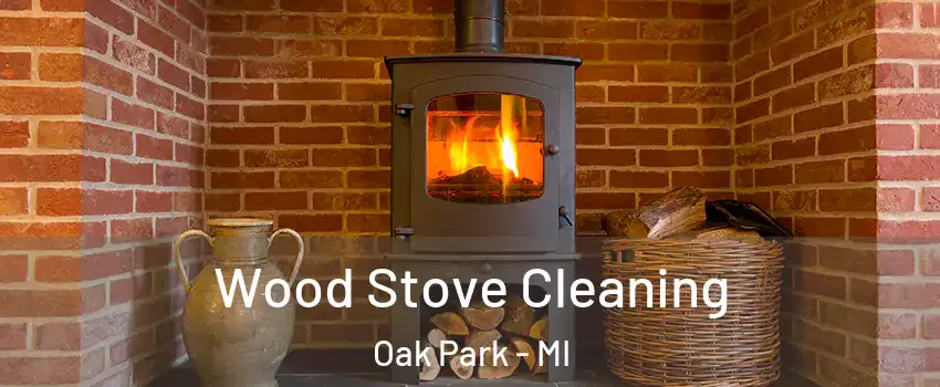  Wood Stove Cleaning Oak Park - MI